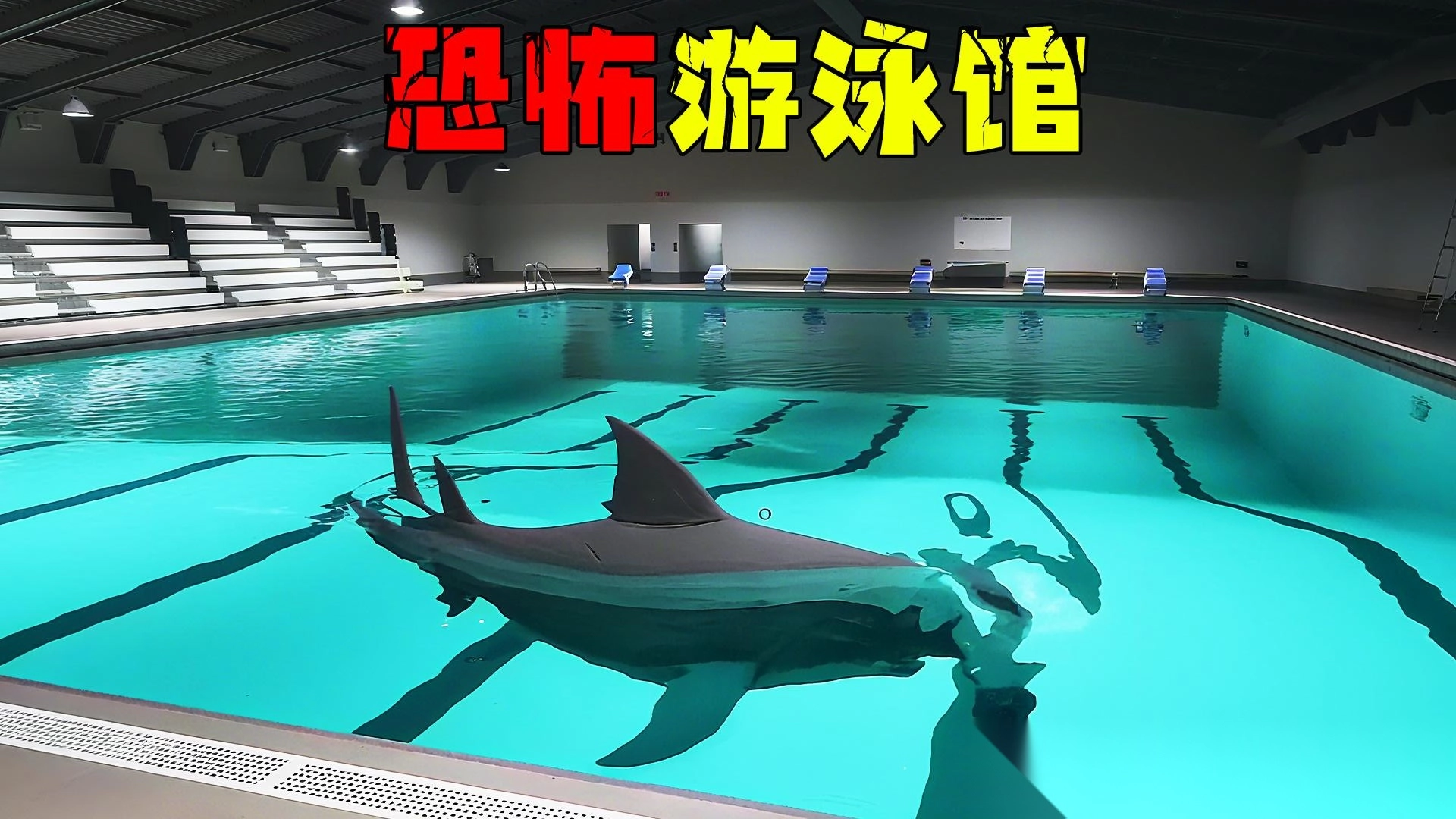 鲨鱼生存进化模拟