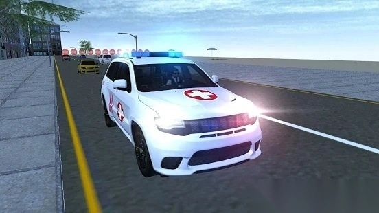 AmericanAmbulanceSimulator