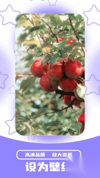动图壁纸截图1