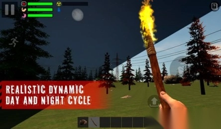 幸存者遗忘的森林