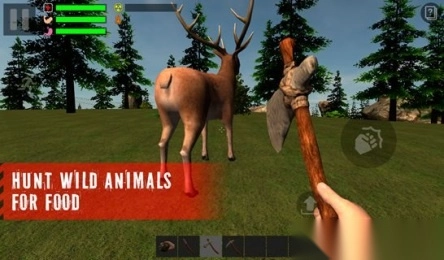 幸存者遗忘的森林