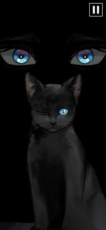 黑猫厄舍的遗产