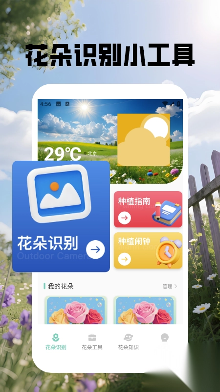花朵物语识别