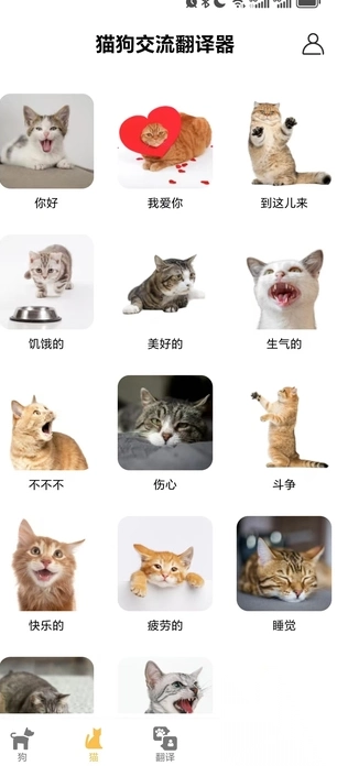 猫狗交流翻译器图4