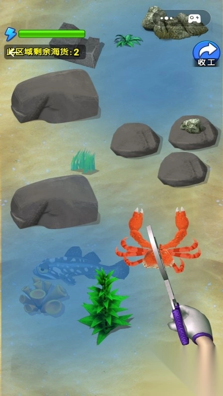 赶海生活日记(3)