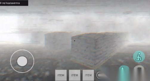 皮卡布冷冻食品(2)