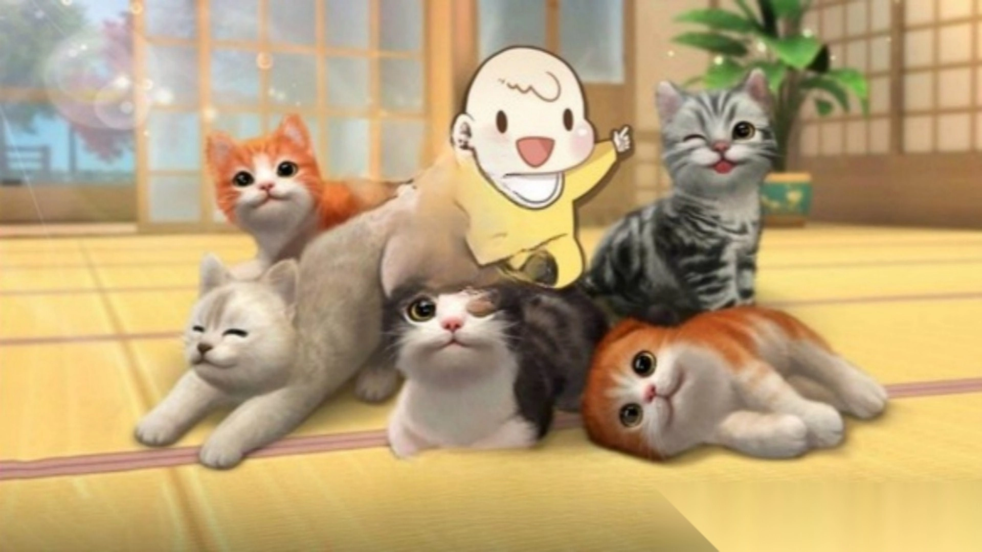 猫咪奶奶开世记-图3