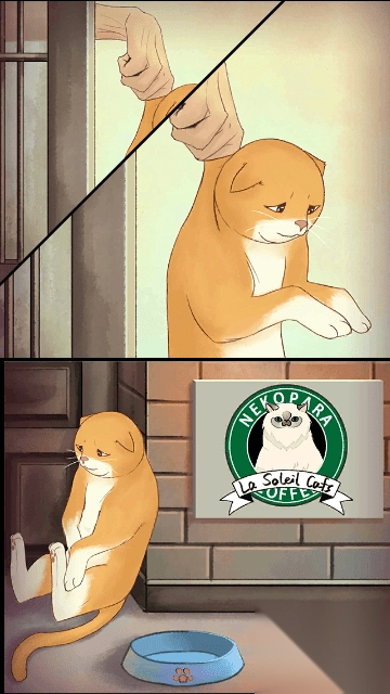 喵星人大冒险(3)