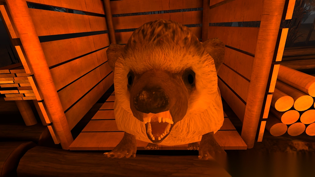 与海狸共度的五夜