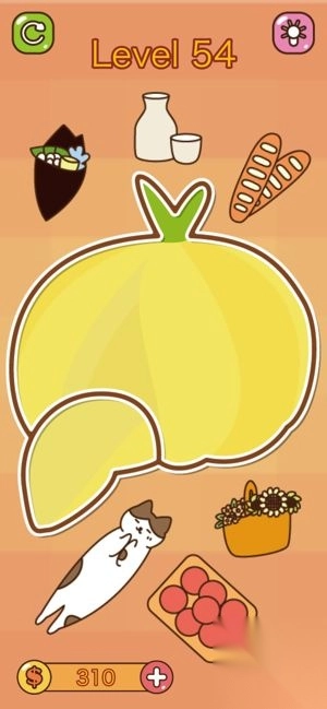 喵星人的收纳小能手