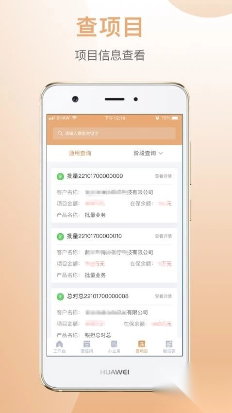 国家融资担保(2)