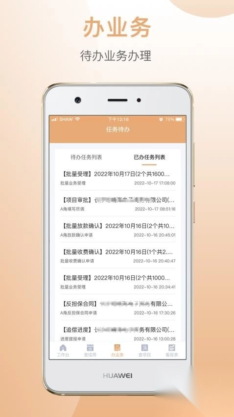 国家融资担保(4)