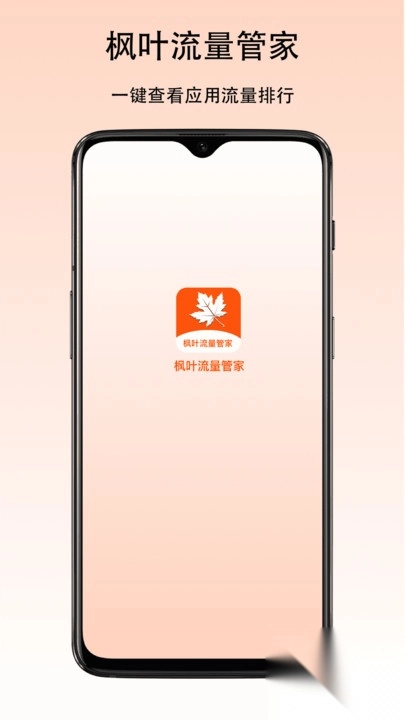 枫叶流量管家