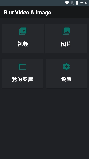 模糊视频和图片