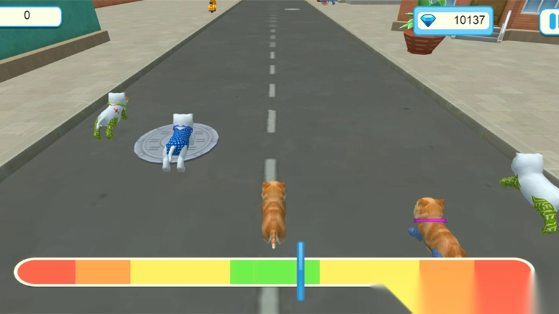 萌宠竞技闯关之旅