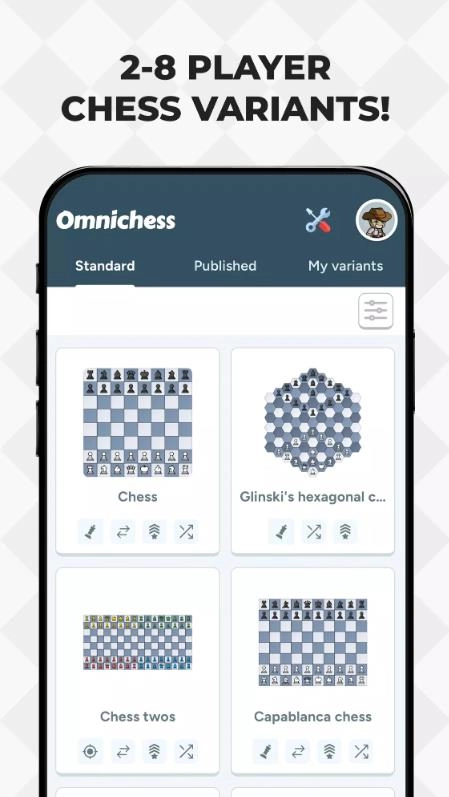 全方位国际象棋图4