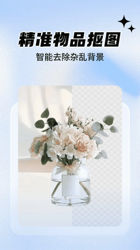 一键抠图大师