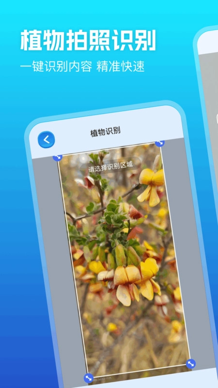 优记扫描助手图4