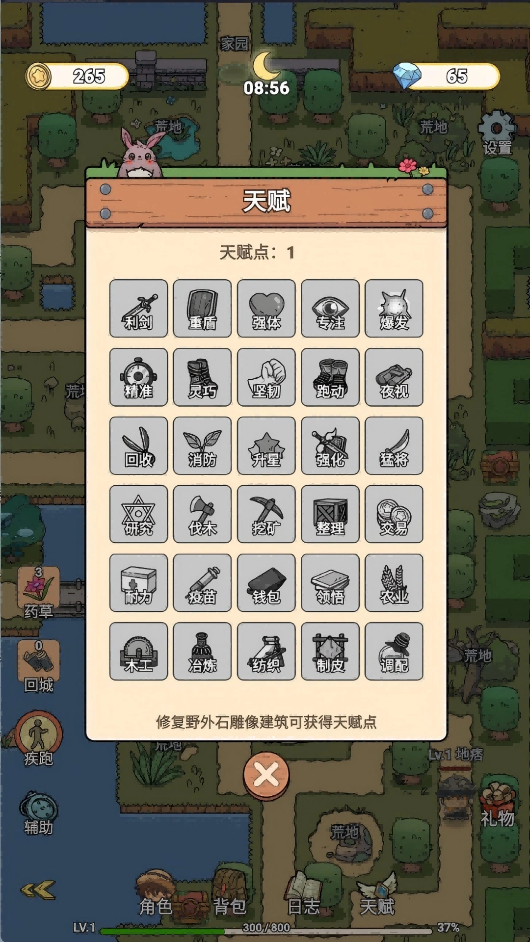 王者骑士家园(1)