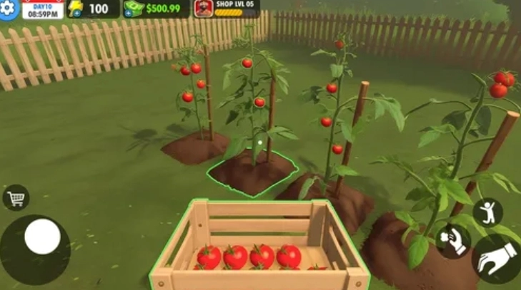 农场超市模拟器