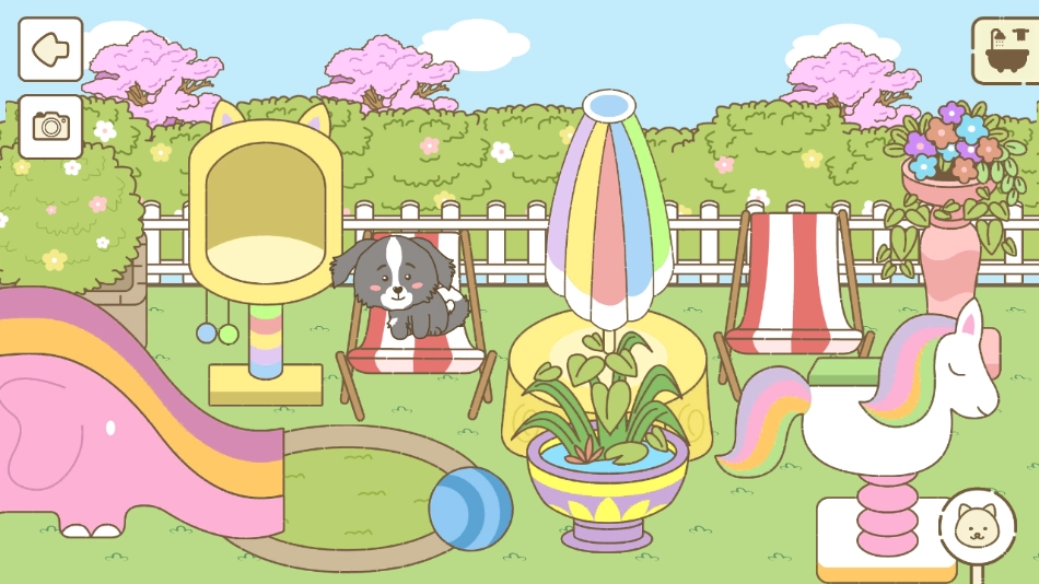 提子镇宠物家居装饰