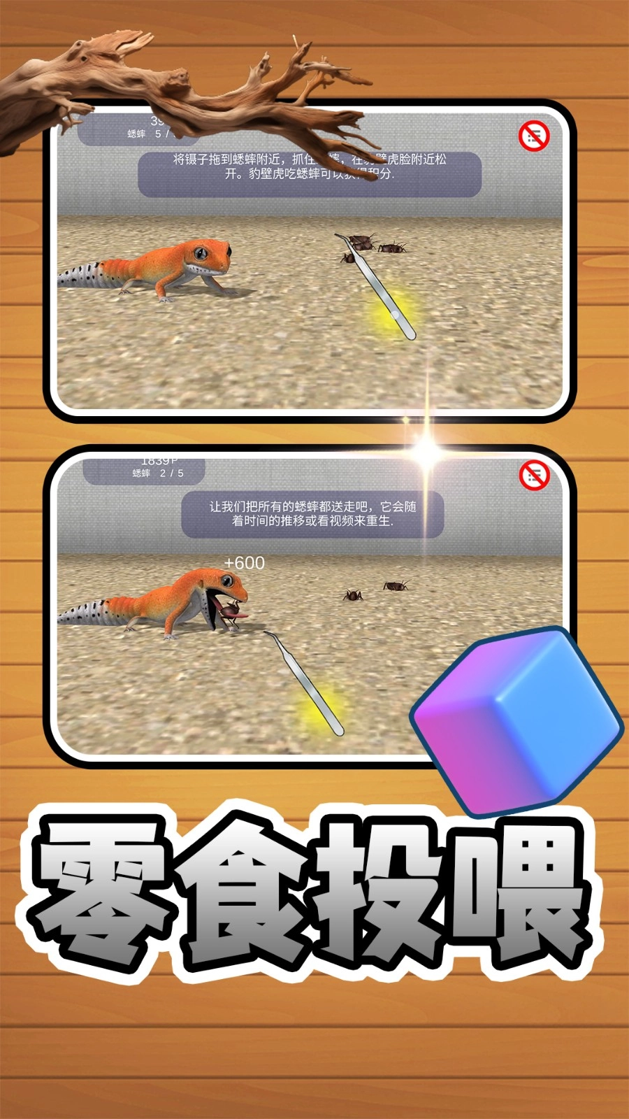 萌宠成长日记(4)