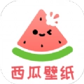 西瓜壁纸助手