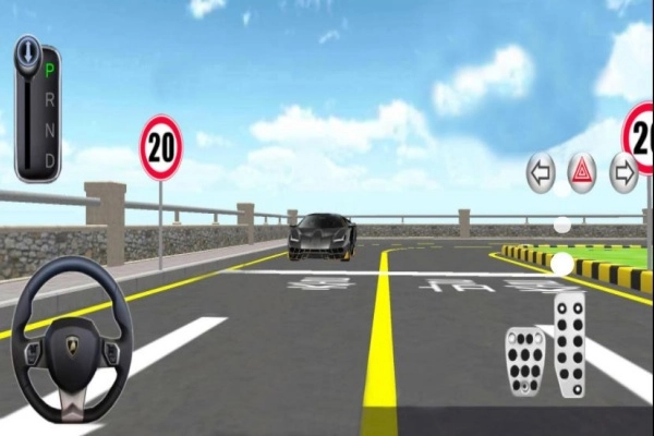 真实驾驶模拟3D图1