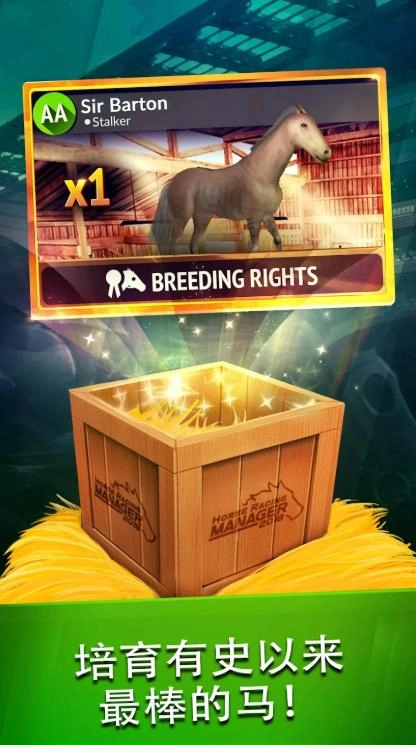 2026年度赛马经理