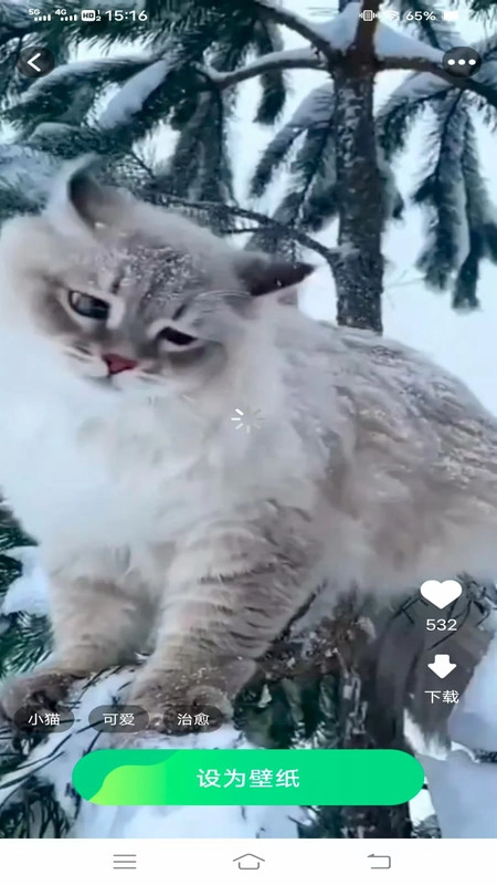 免费美图壁纸图2