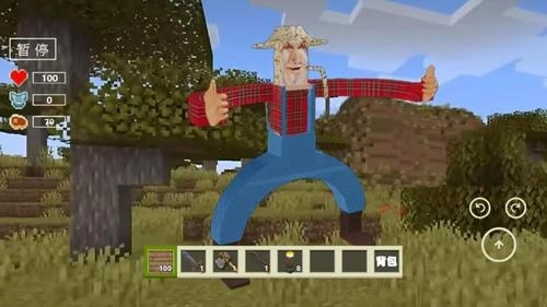 像素盖瑞模组-图2