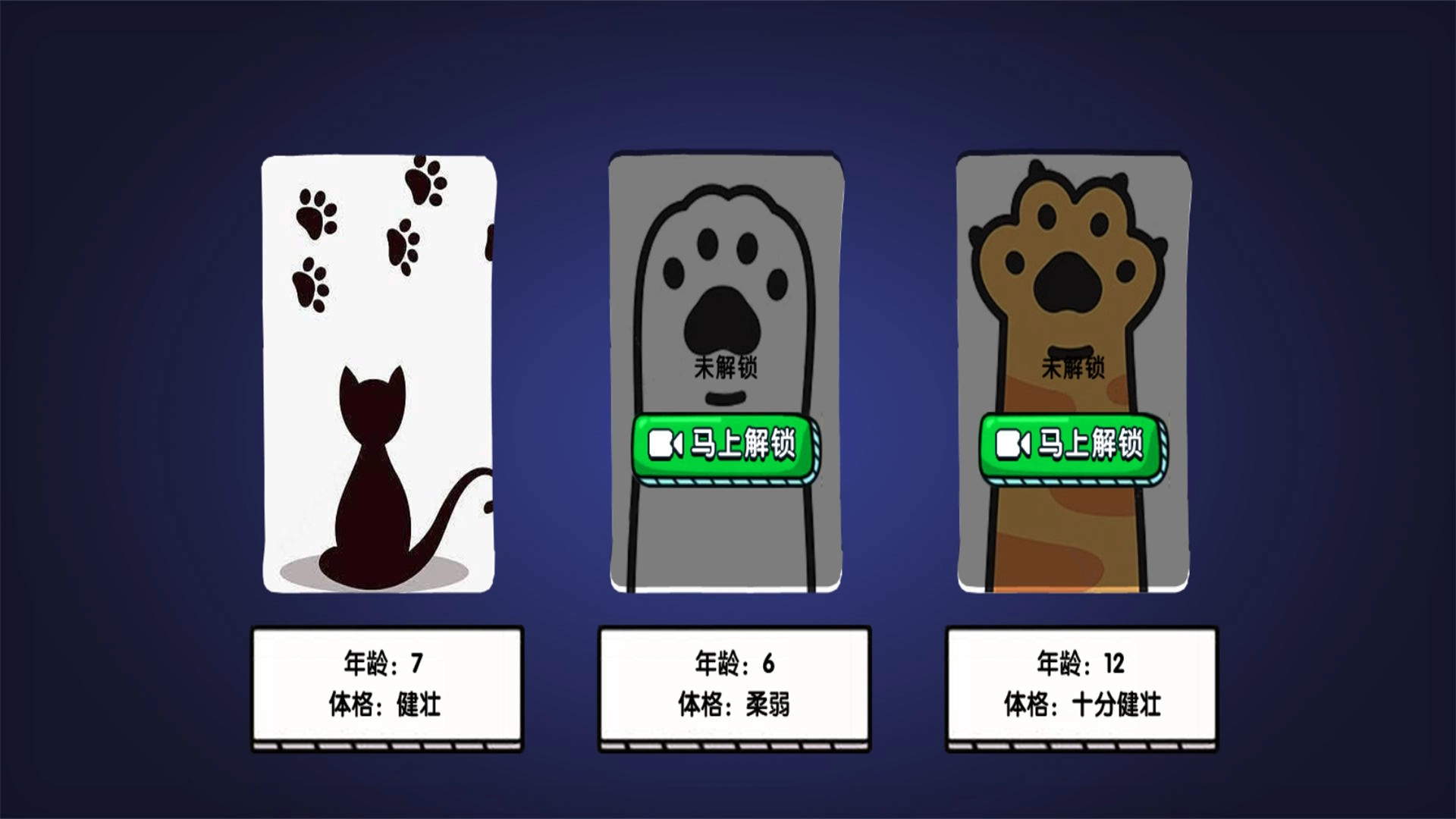 猫咪城市奇遇记(1)