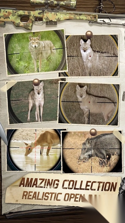 狩猎狙击手游戏(1)
