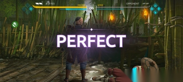 暗影格斗4正版图5