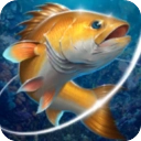 钓鱼胡克中文版