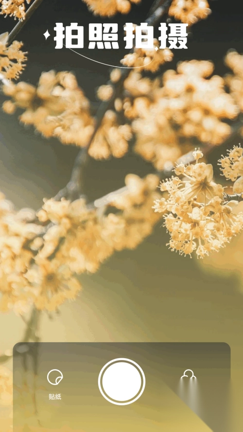 繁花漫画官方正版图2