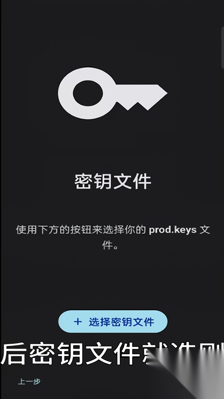 Sudachi模拟器正版图3