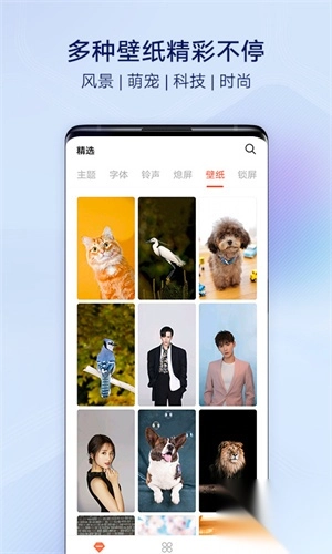 VIVO主题商店app图2
