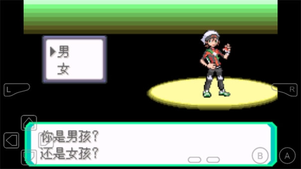 口袋妖怪究极绿宝石许愿盒加强版图1