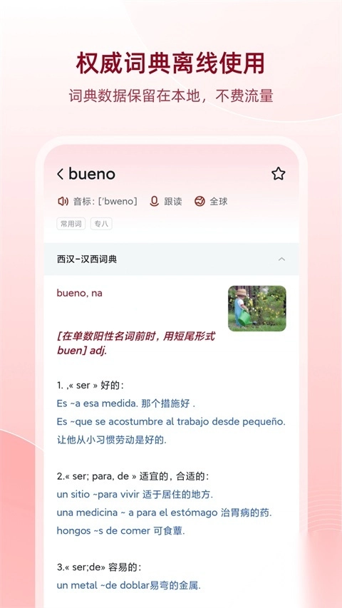 西语助手app图5