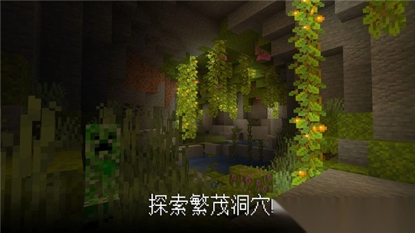 我的世界国际版图5