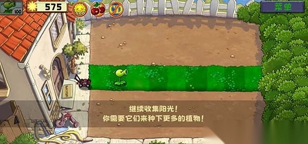 植物大战僵尸精华版