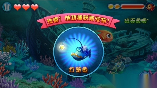 大鱼吃小鱼3夺宝大冒险正版图5