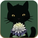 奇异园艺安卓中文版