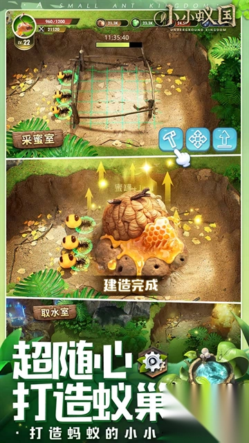 小小蚁国九游版截图3