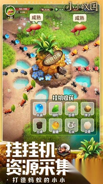 小小蚁国极速发育版(3)