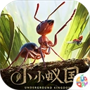 小小蚁国华为版 v6.0-2438415