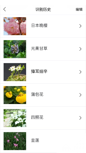 识花app图2