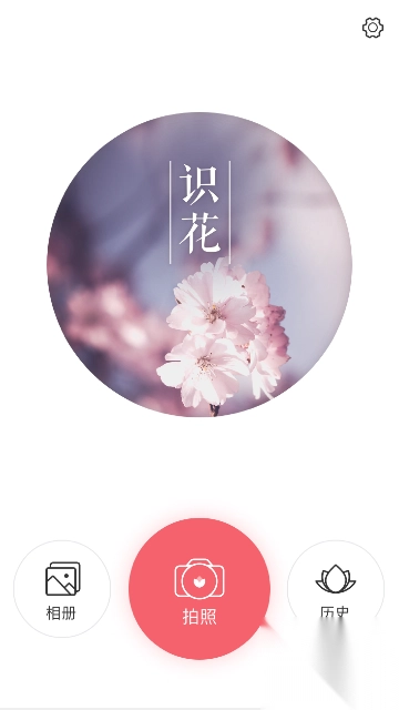 识花app图1