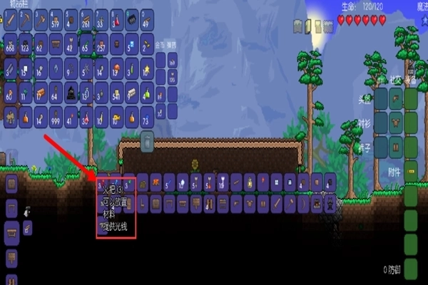 Terraria